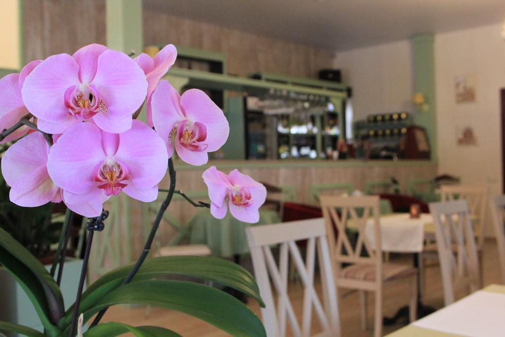 Seasons Spa Boutique Hotel Kozyn Ngoại thất bức ảnh